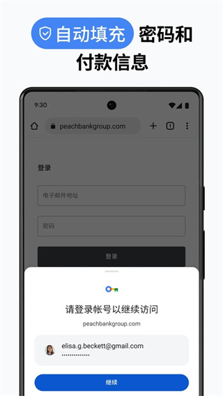 google�ֻ�������v138.0.7204.180 ��׿��