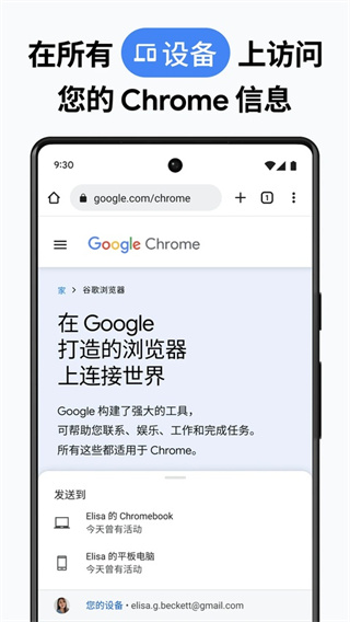 google�ֻ�������v138.0.7204.180 ��׿��