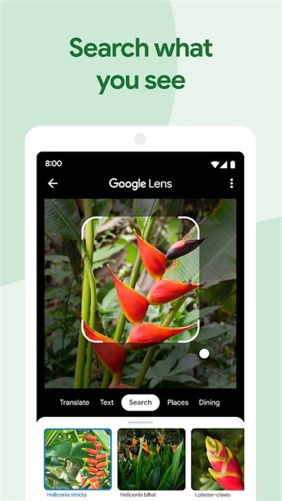 �ȸ�������°�v1.16.0.117494210