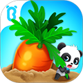 ��ɽ���ֻ�APP�ٷ���v5.2.0