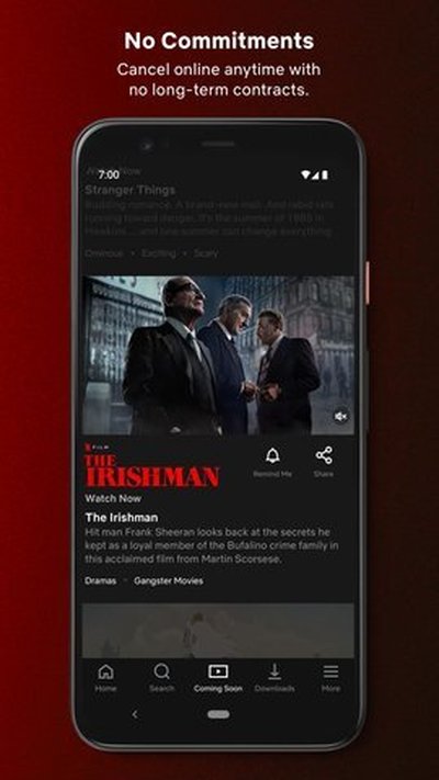 �η�netflix��װ������v3.3