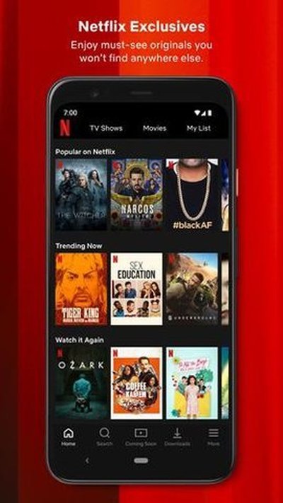 �η�netflix��װ������v3.3