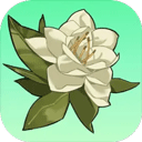 小城茉莉y'x1v1.0 安卓版