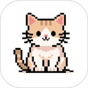 ƴ����app����v1.0.5 ��׿��