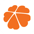 ��������APPv9.1.3