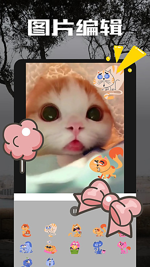 ��Ƥ��������v1.2