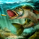 �ռ�����ģ�����޹��汾����v1.0