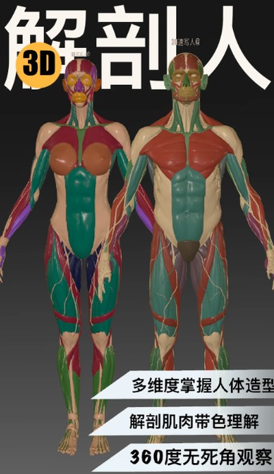 3D��д�ٷ���v1.3.0