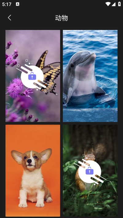 ������ֽ��app����v1.0