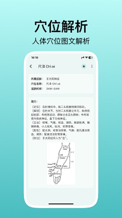����Ѩλͼ���ֻ���v3.1.0