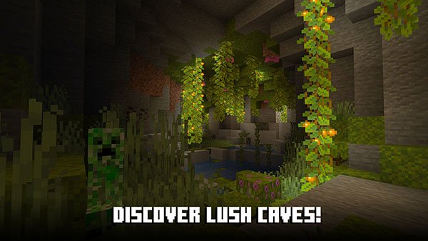 Minecraft�ҵ�����������Ұ���Ϸ����v1.17.5.91142