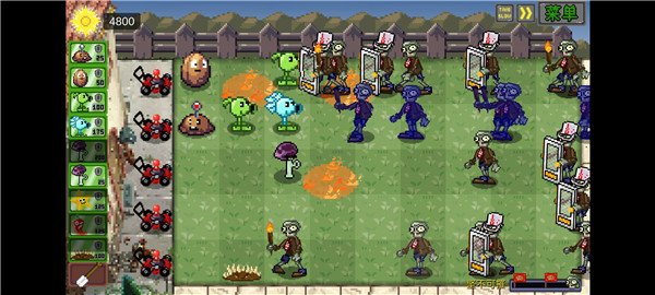 pvz���ذ��ں�ֲ���ֻ���������v1.01