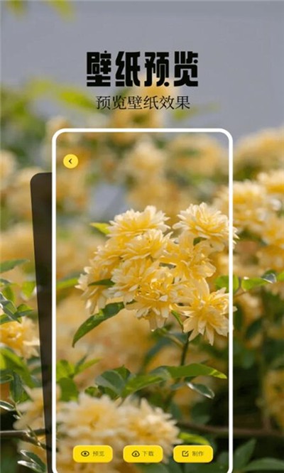 ħ������ɰ汾v7.9.3