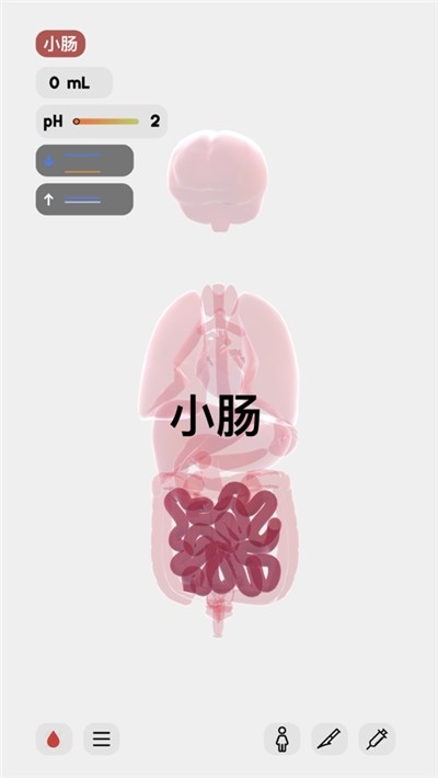����ģ����life������v1.0