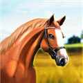 �±��������޽��������ʯ�����°�v1.9.10