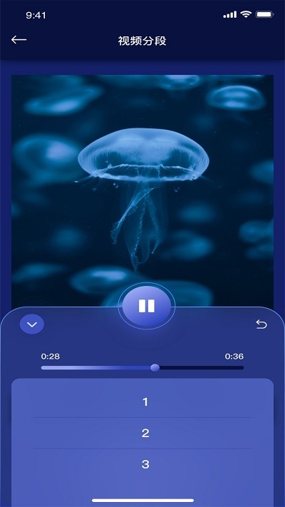 ������Ƶapp���ش�ȫ���°�v3.3