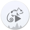 �������Ǻ����v1.0.1.15500