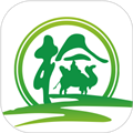 ˿·���찲׿��v1.9.4