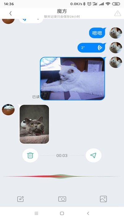 ��צ���°�v2.9.6