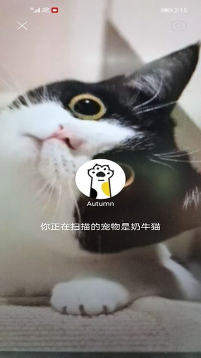 ��צ���°�v2.9.6