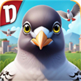 pigeonpop������������Ѽ���v1.2.5