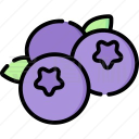 ��ݮ���ֹٷ����°�v1.3