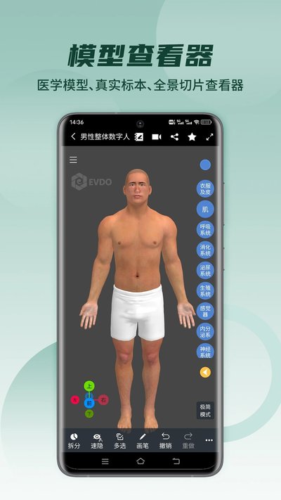 ҽά�Ƚ�����ʽ������v3.3.19
