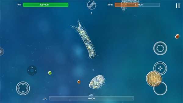 bionix���°�v55.73