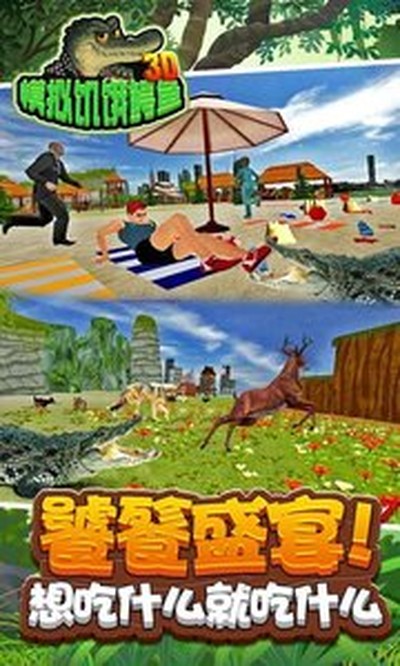 3Dģ�⼢�������ֻ���