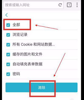 Puffin(海鸥浏览器app手机完整版) Puffin(海鸥浏览器app手机完整版)