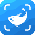 ����ʶ��(PictureFish)��׿��v2.4.23