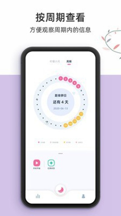 ����С�°�׿��v3.6.1