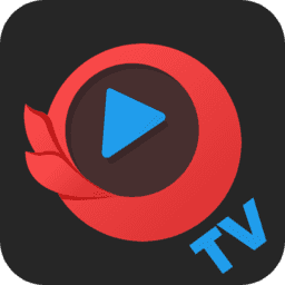 今日影视TV版下载v3.3