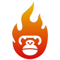 dsxypro��ʦ�ֹ�������v1.6.2.5