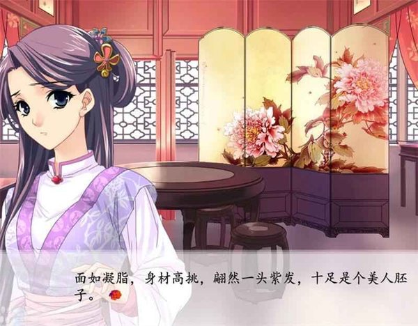 ��¥��galgame���°�2026����v2.5.1