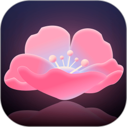 ���Ĺٷ�������v1.0.8