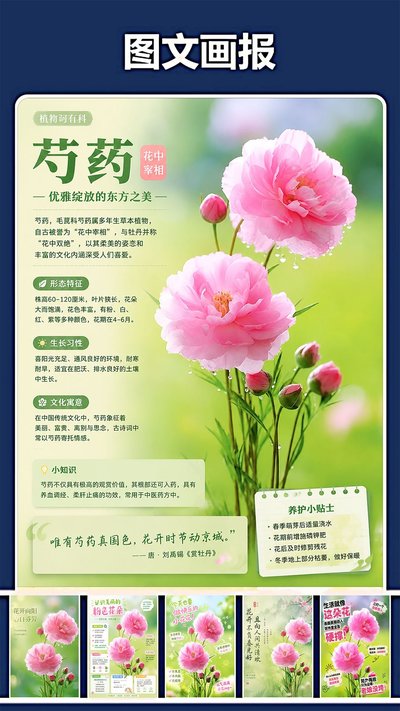 �޸�Pͼ��������׿������v1.0.1