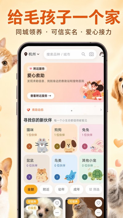 ��С���ٷ���v1.0.101