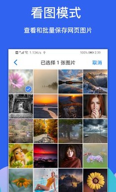 alook�������׿������v11.0