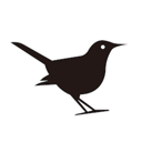 ʶ��ר�Ұ�׿������v1.5.10