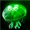 ��ˮĸeggjelly�������ذ�׿�汾v1.4