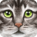 �ռ�èģ�������޼��ܰ氲׿��v1.1