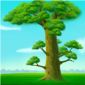 ��ľBoxPro������°�v5.0.9