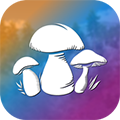 ��ʵ�ɼ�Ģ��ģ������׿��v2.4